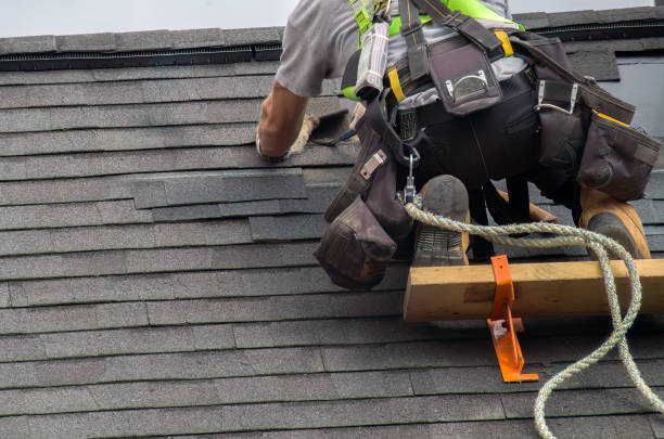 Best Chimney Flashing Repair  in Poseyville, IN
